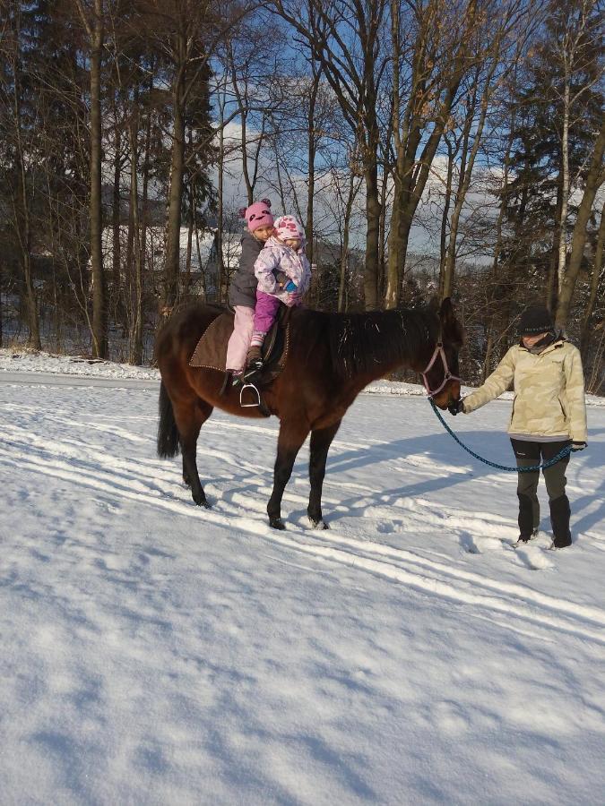 Вилла U Ponocneho Pod Ondrejnikem Фридлант-над-Остравици Экстерьер фото